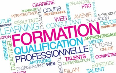 FORMATION PROFESSIONNELLE