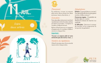 11 juillet