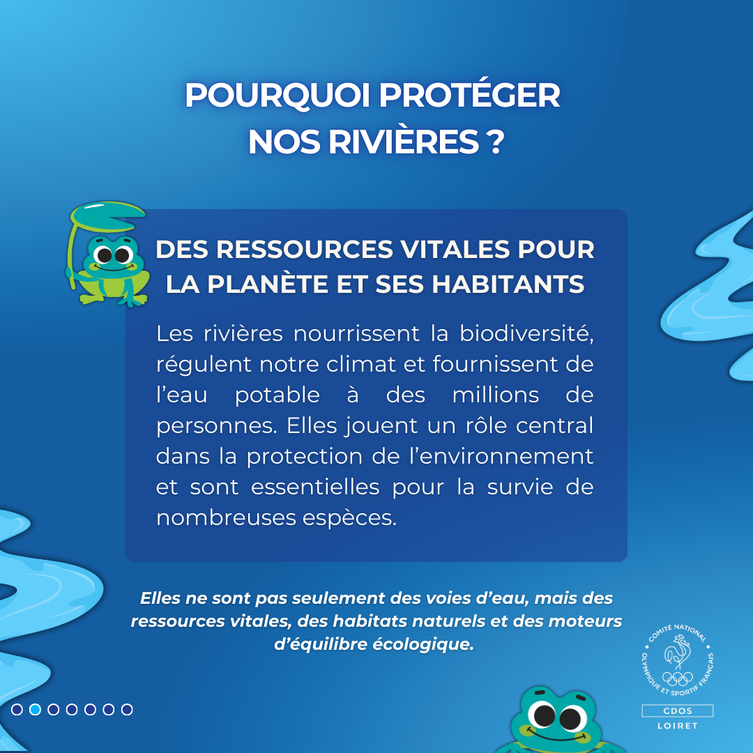 Les rivières sont des ressources naturelles indispensables, jouant un rôle central dans la biodiversité et l'approvisionnement en eau. Leur protection est essentielle pour l'équilibre écologique.