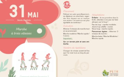31 mai