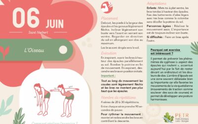 6 juin
