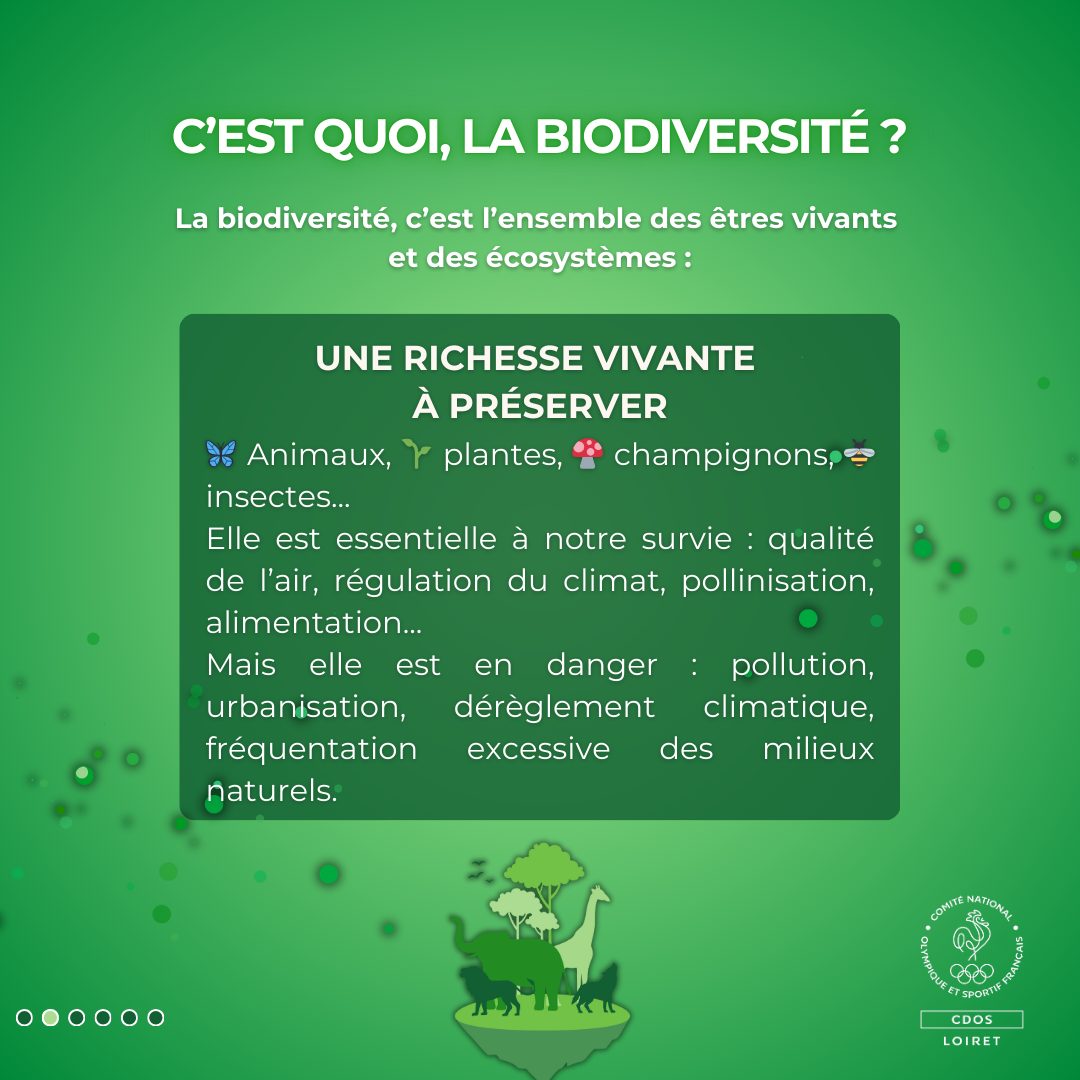La biodiversité est vitale pour la planète, mais elle est aujourd’hui fortement menacée.