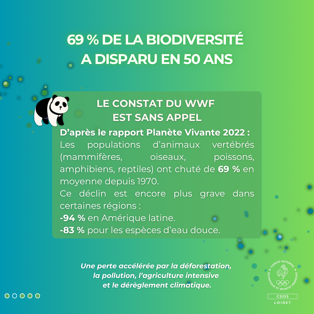 Une perte accélérée par la déforestation, la pollution, l’agriculture intensive et le dérèglement climatique.