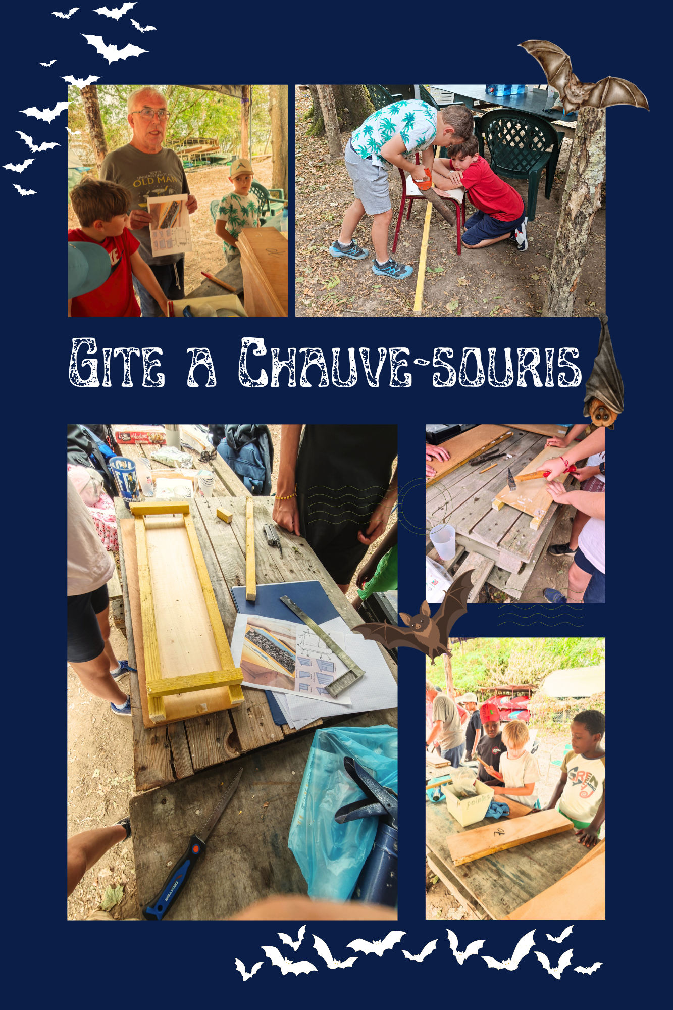 Gite à Chauves-souris - Photos, plan, espèces